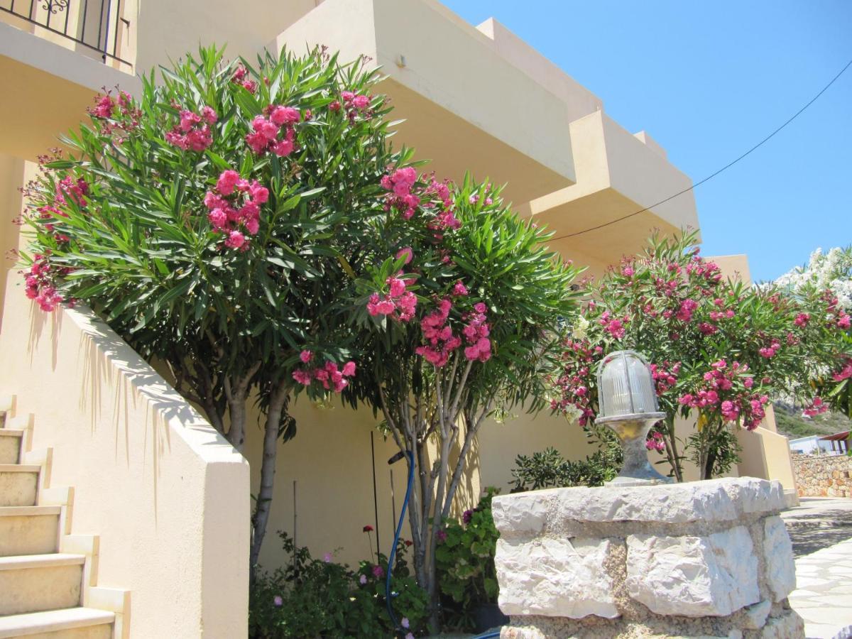 Eugenia Travasarou Sea View Appartments Diakofti Luaran gambar